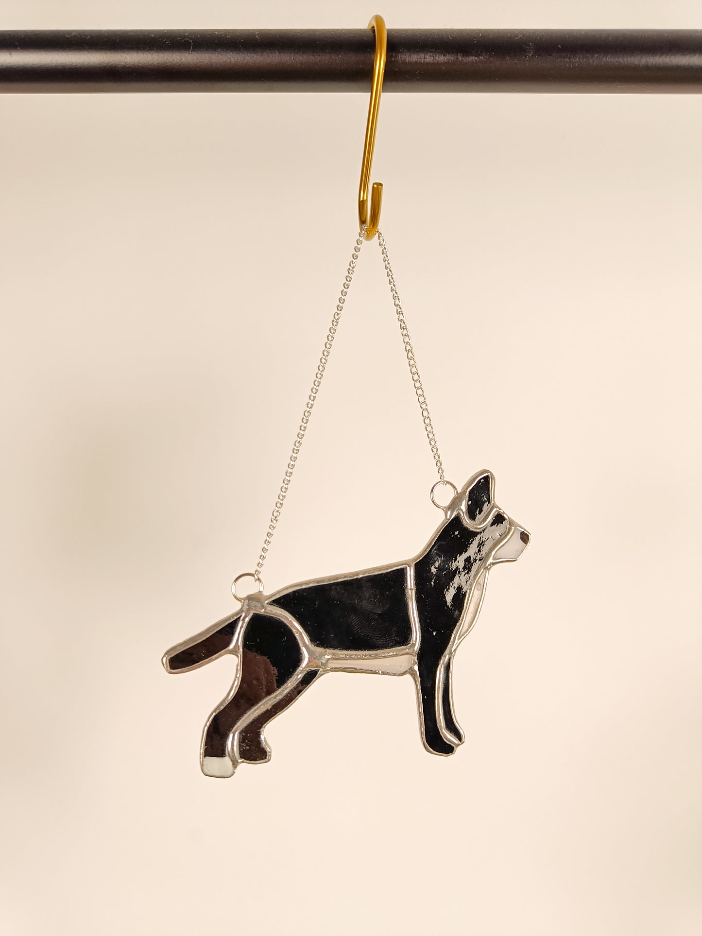 CHIEN noir