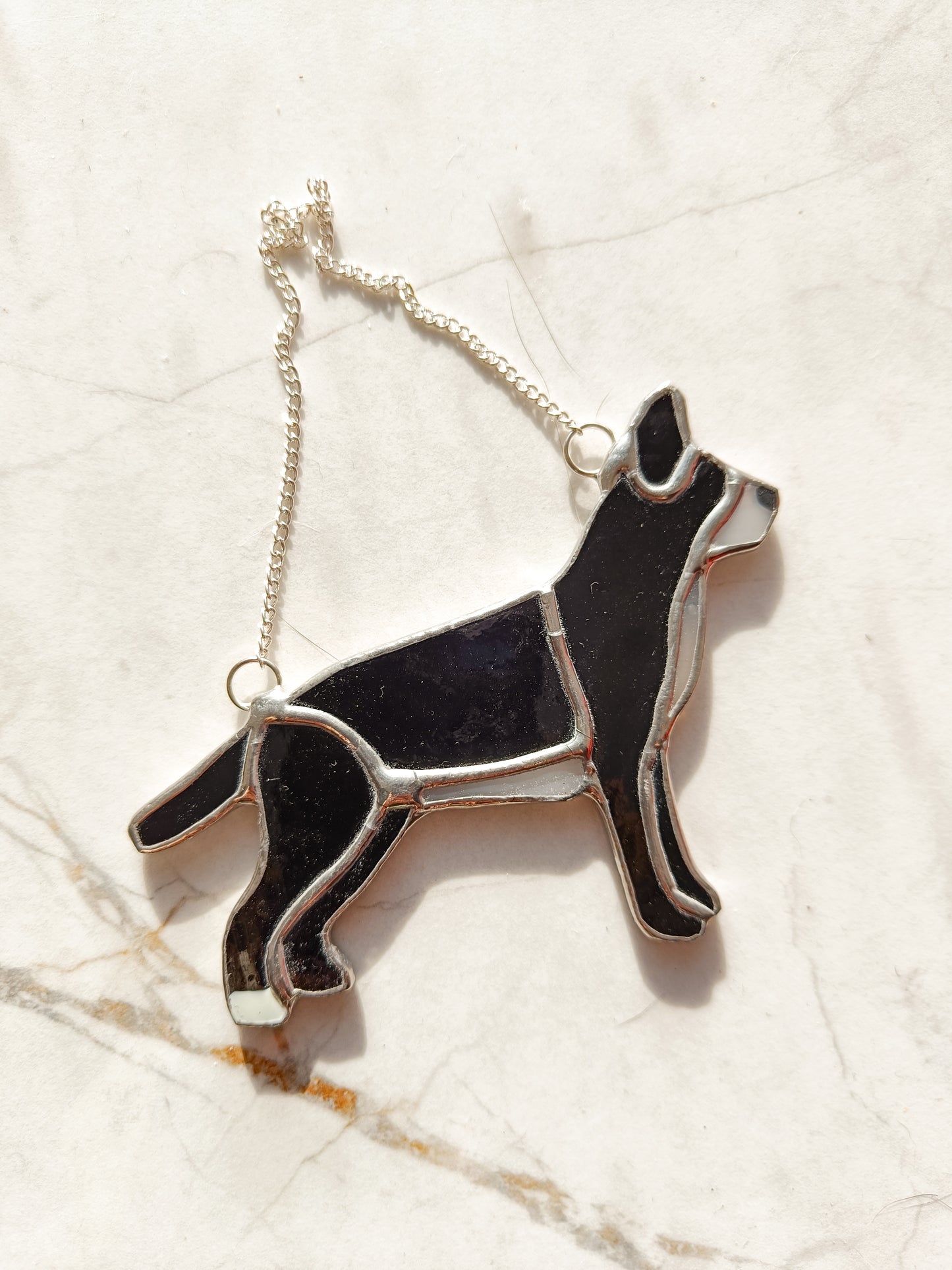 CHIEN noir