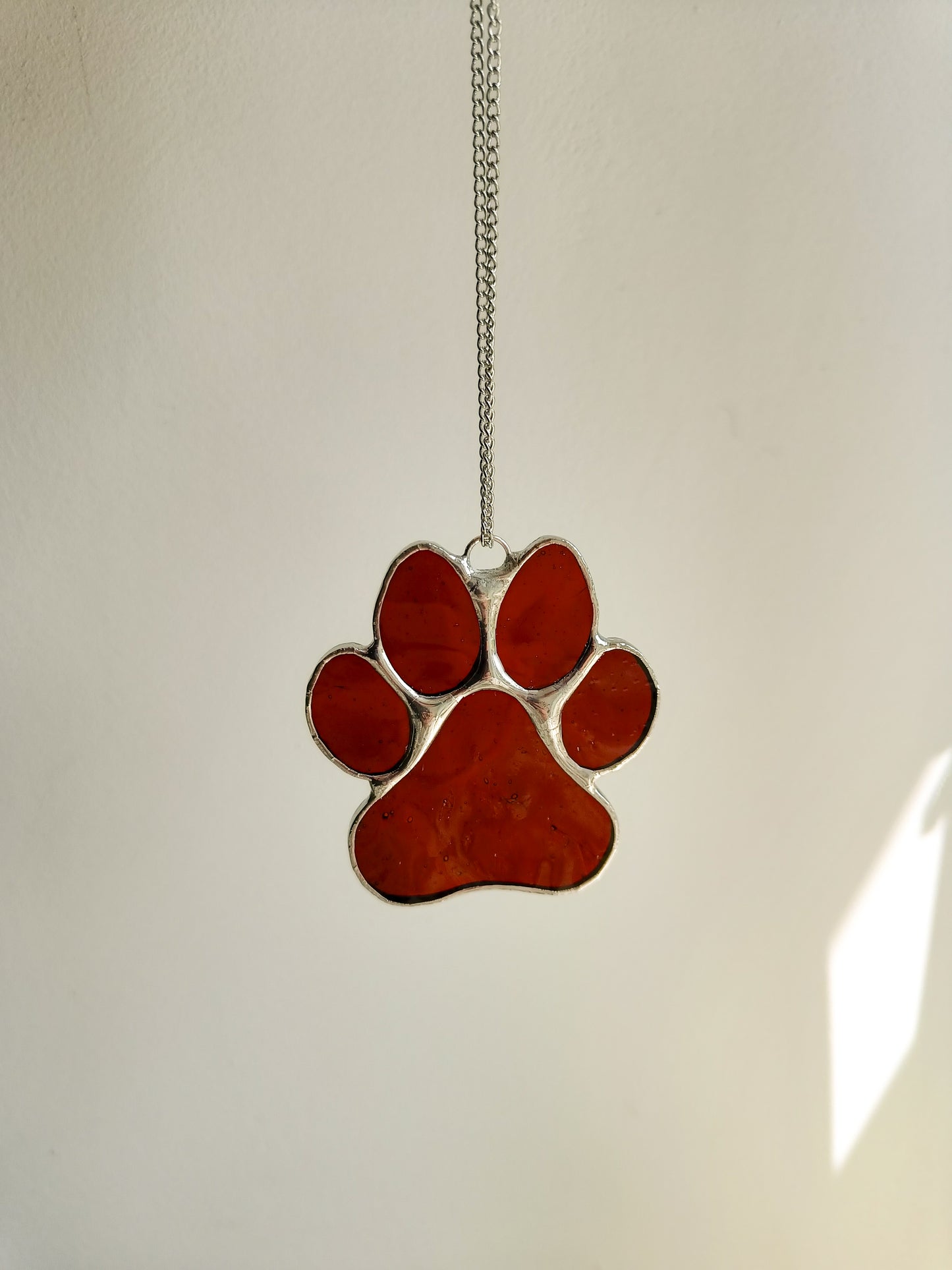 Patte d'animal