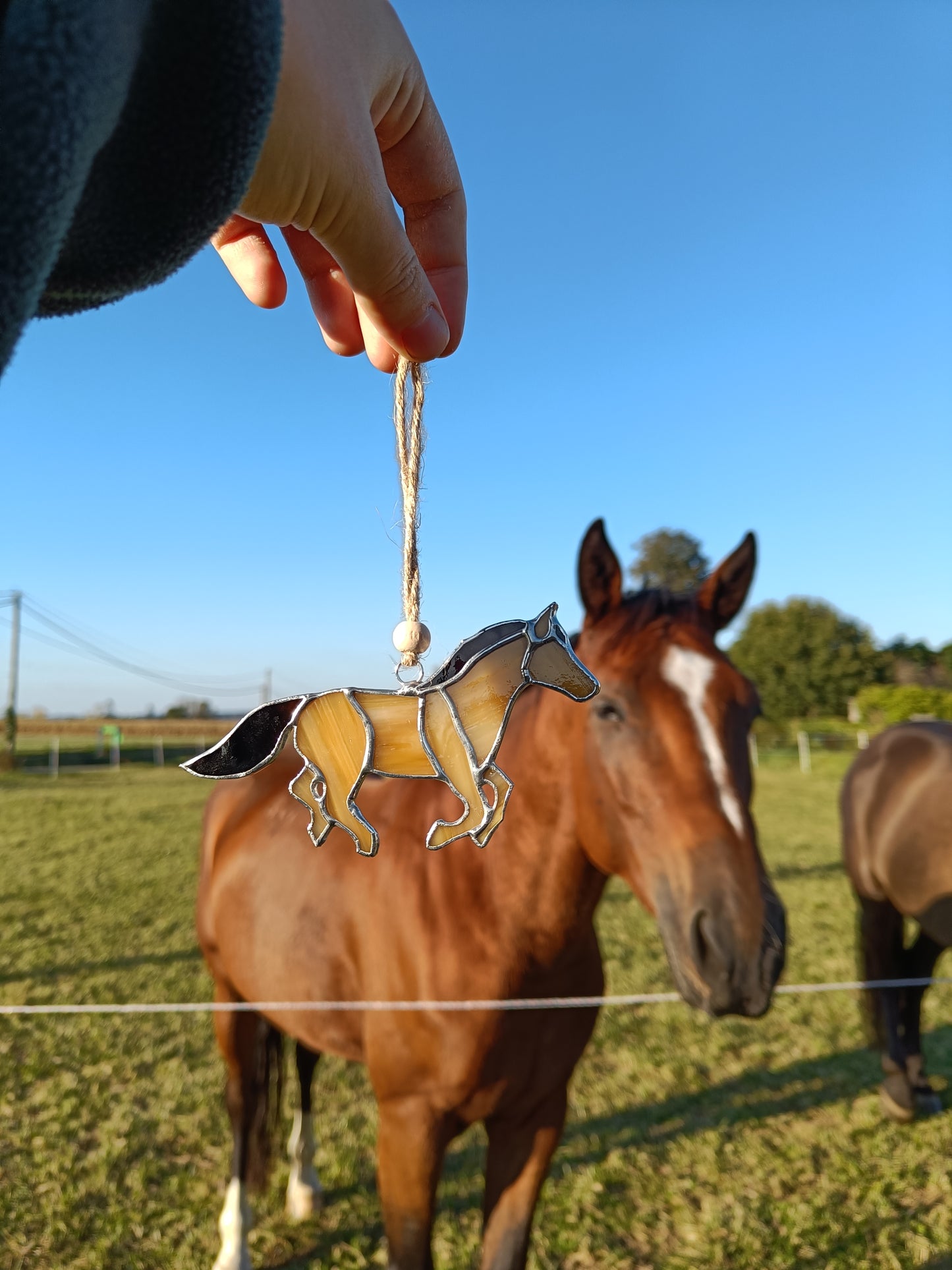 Vitrail CHEVAL beige