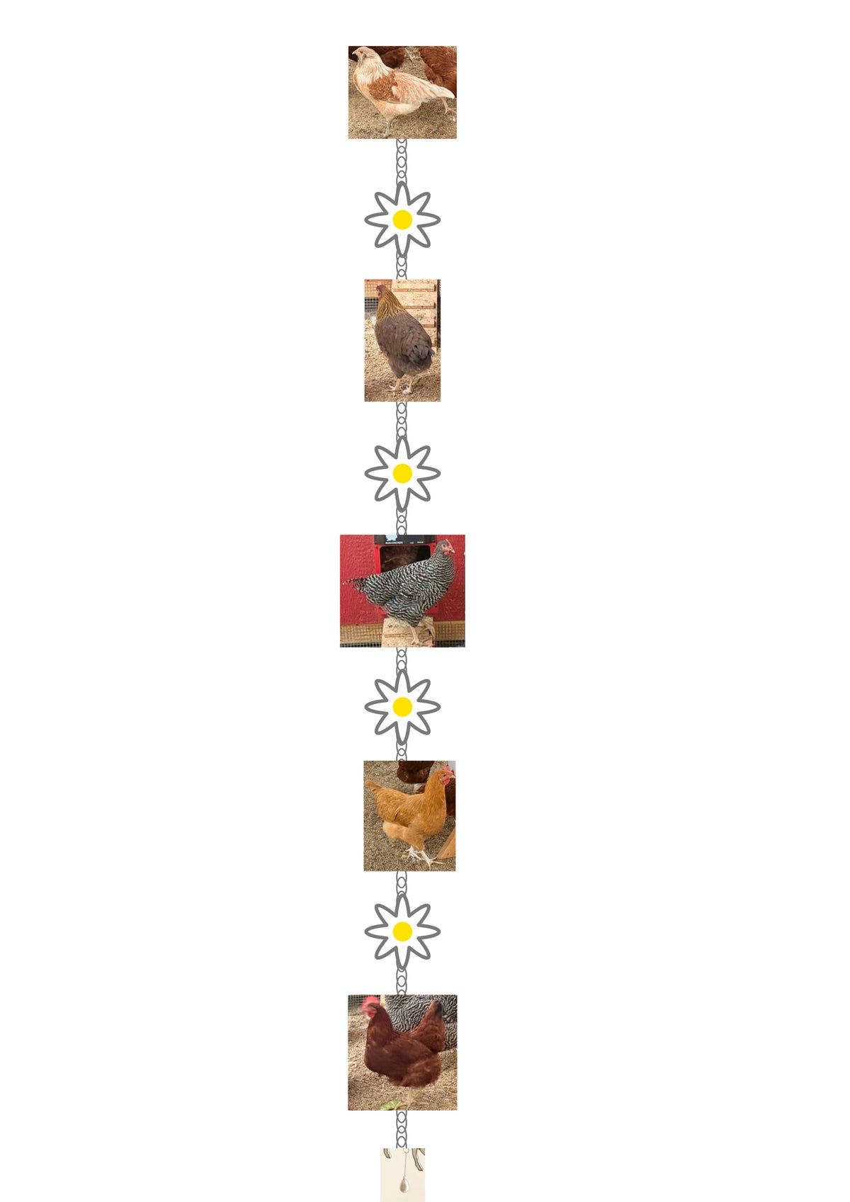 CUSTOM Chicken garland RESERVED for Michaela