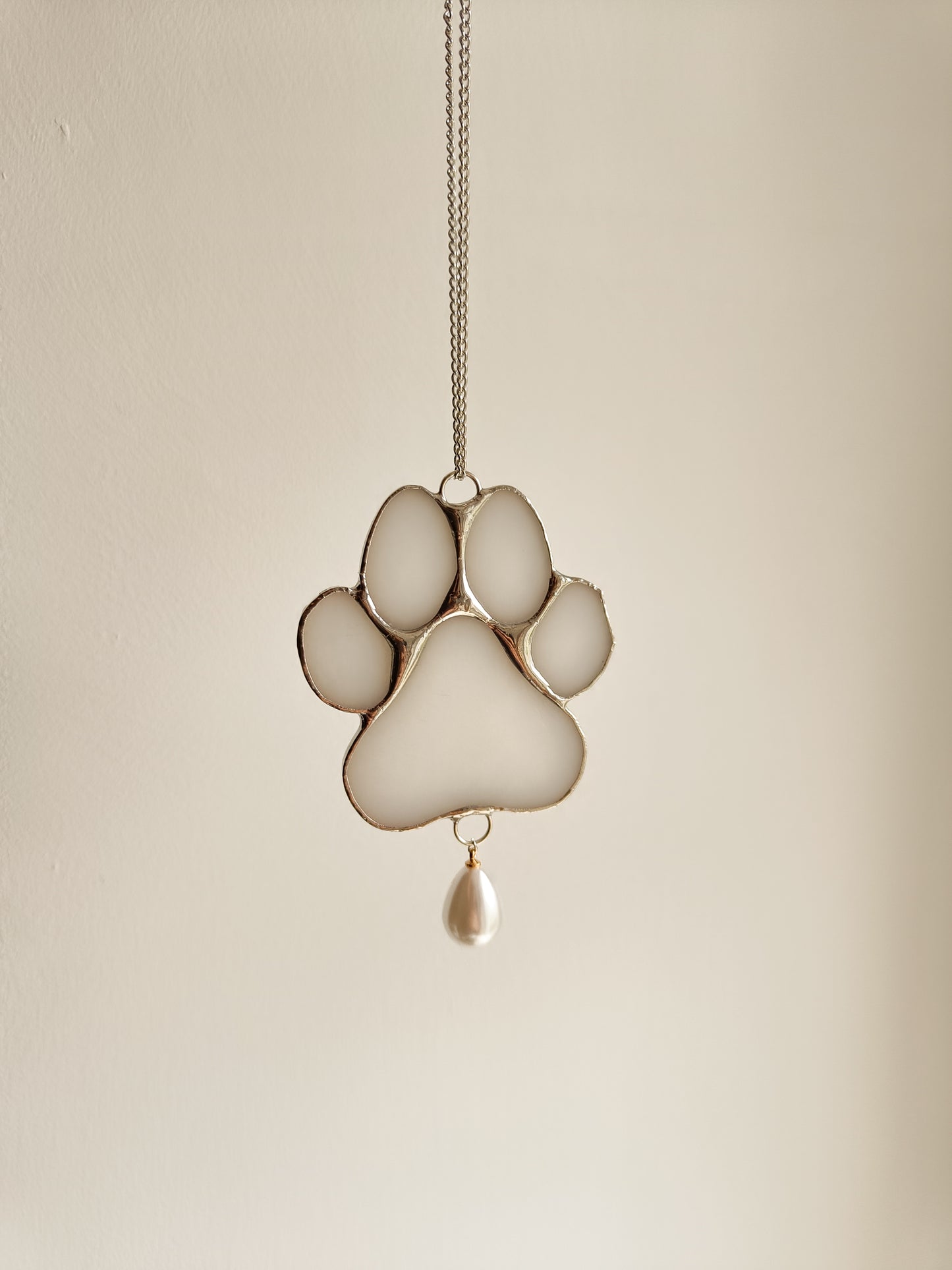 Patte d'animal