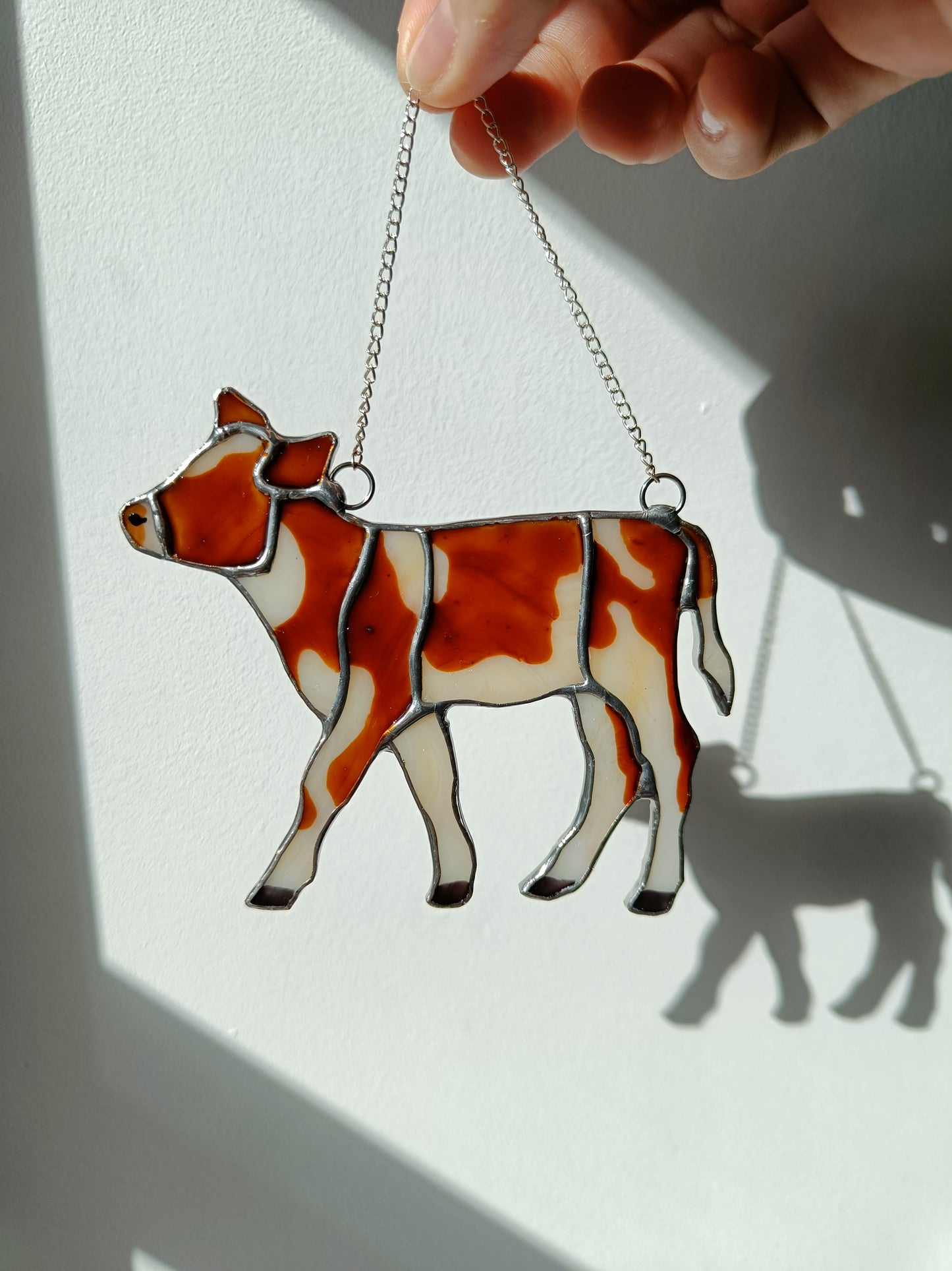 🌱VACHE - Collection Printemps🌱