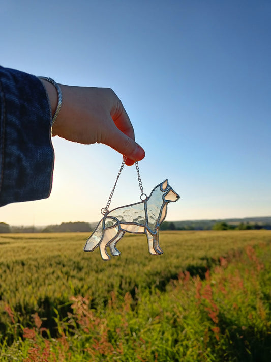 Stained glass HUSKY