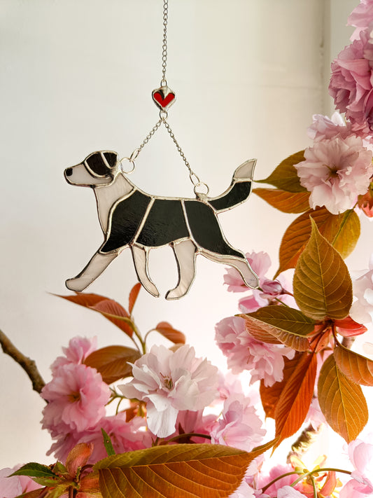 Vitrail BORDER COLLIE