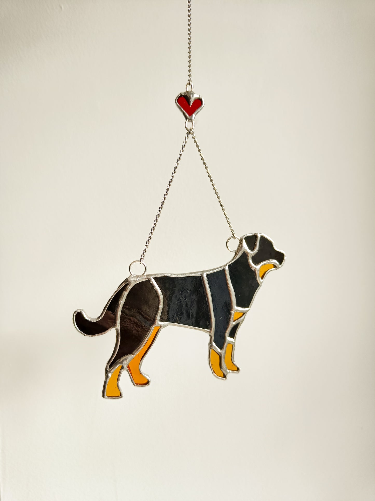 Stained glass ROTTWEILER