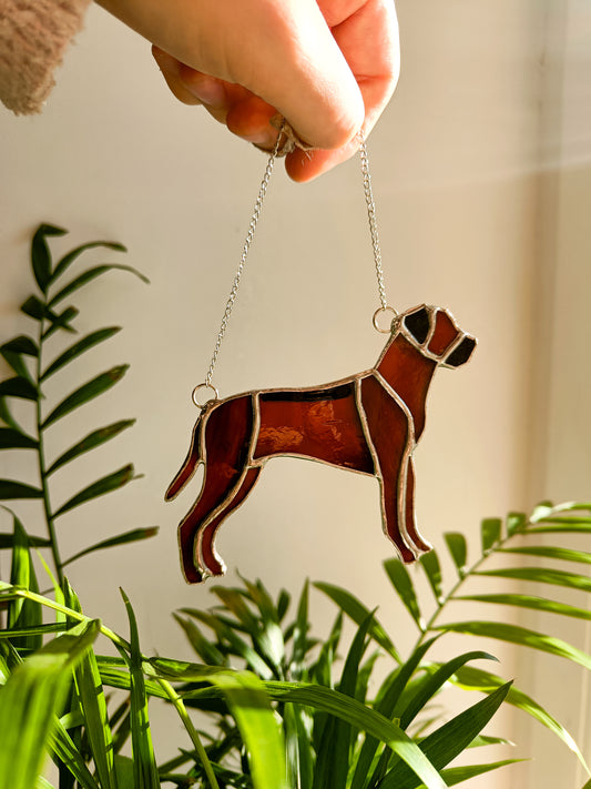 Vitrail RHODESIAN RIDGEBACK