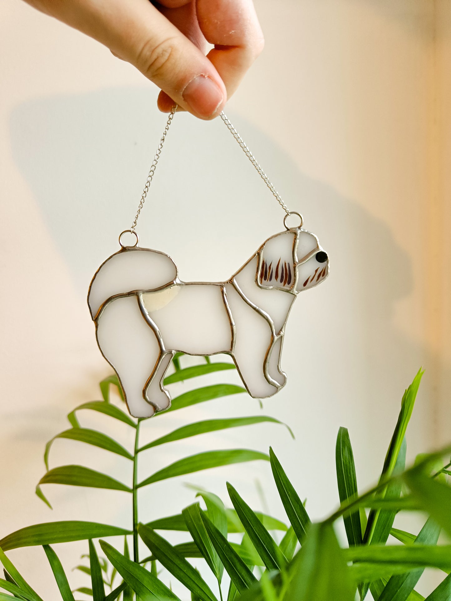 Vitrail SHIH TZU
