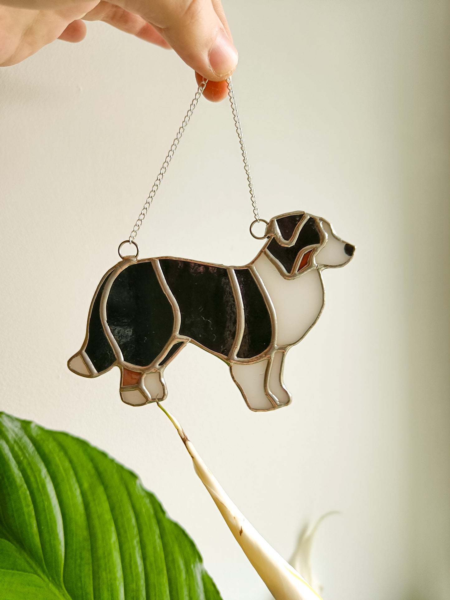 Vitrail AUSTRALIAN SHEPHERD