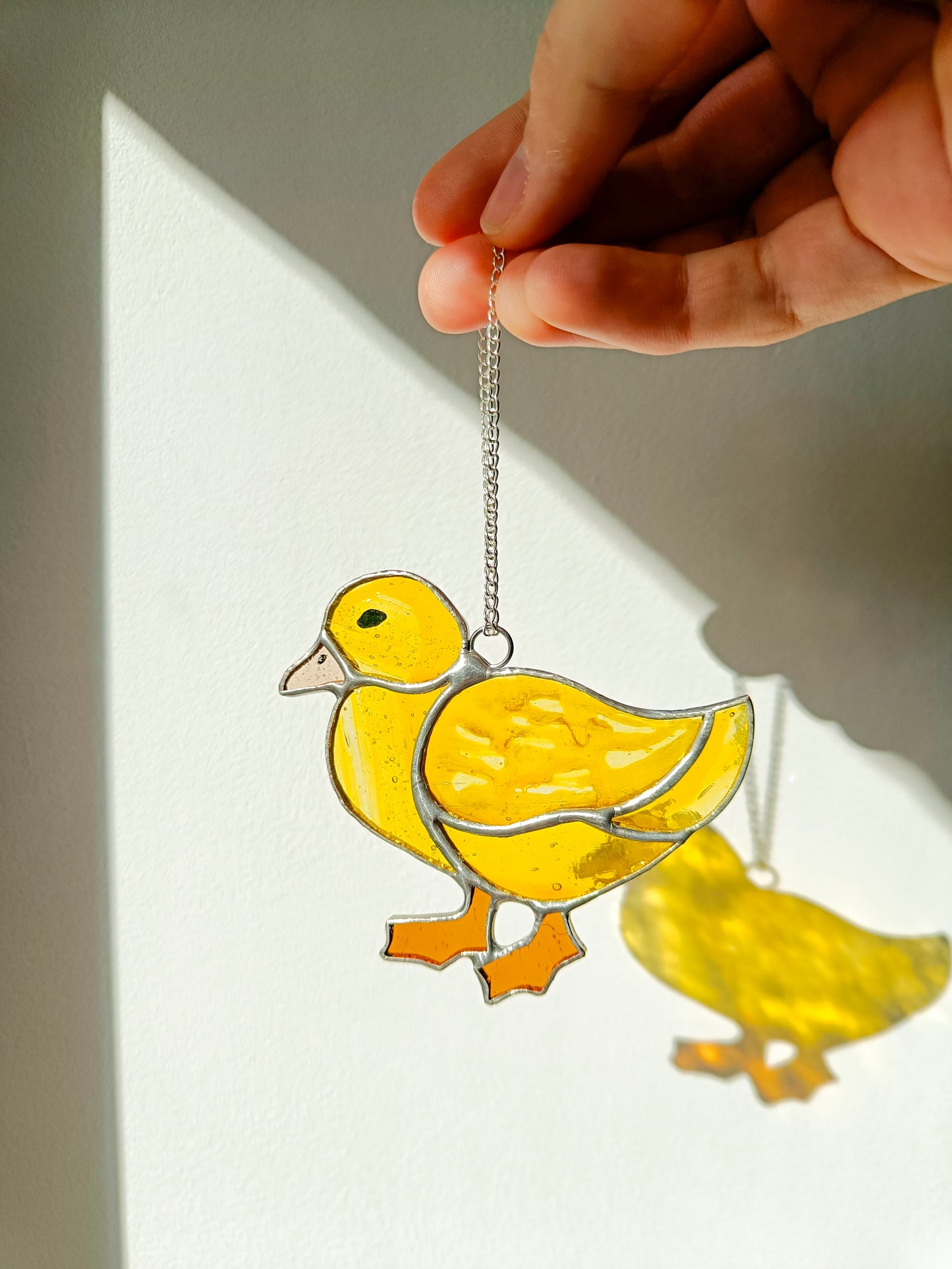 🌱CANARD - Collection Printemps🌱