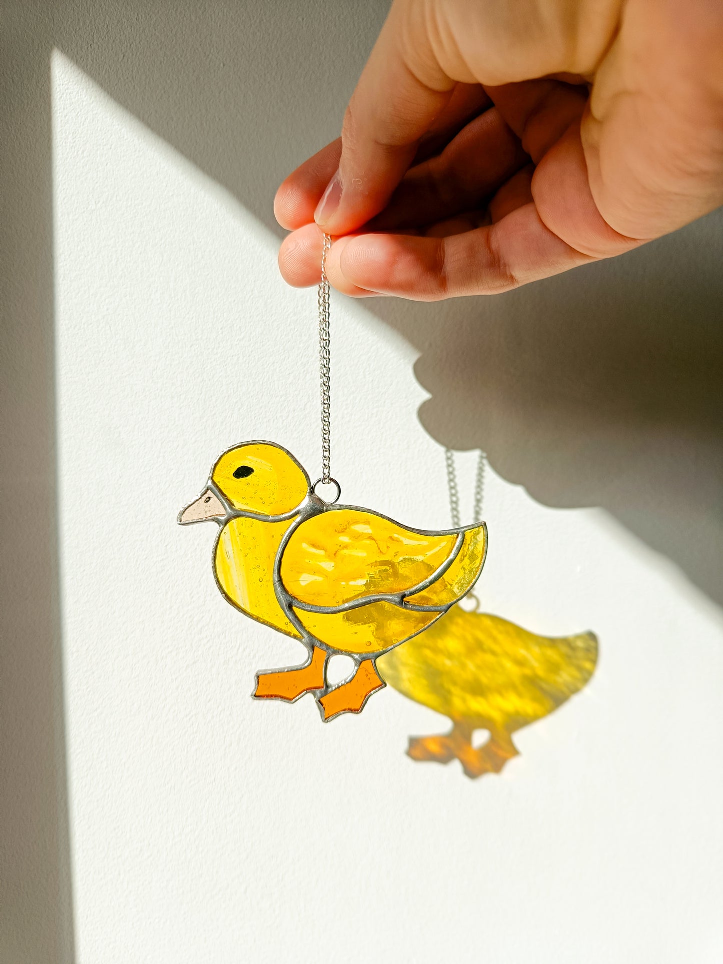 🌱CANARD - Collection Printemps🌱