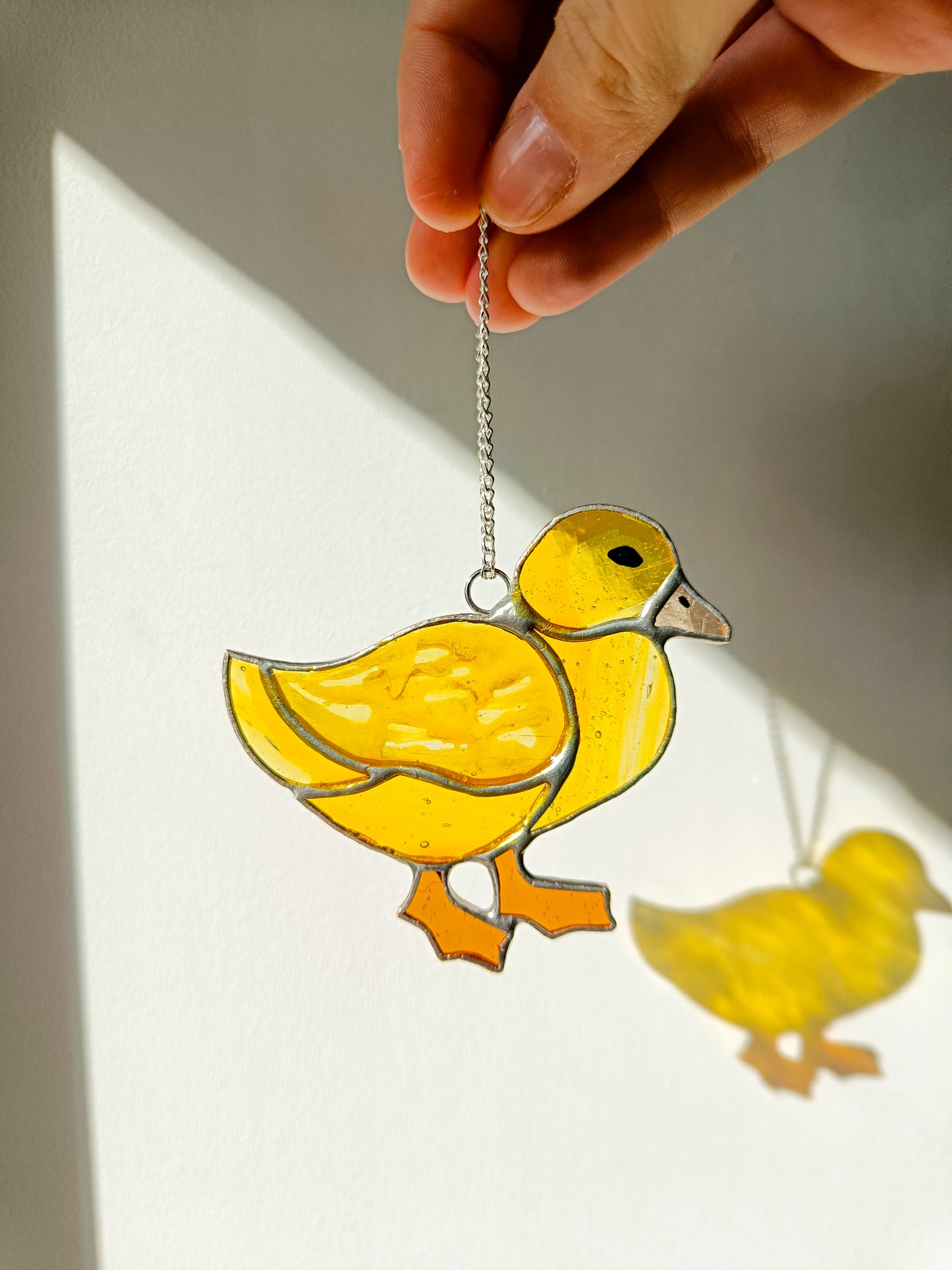 🌱CANARD - Collection Printemps🌱