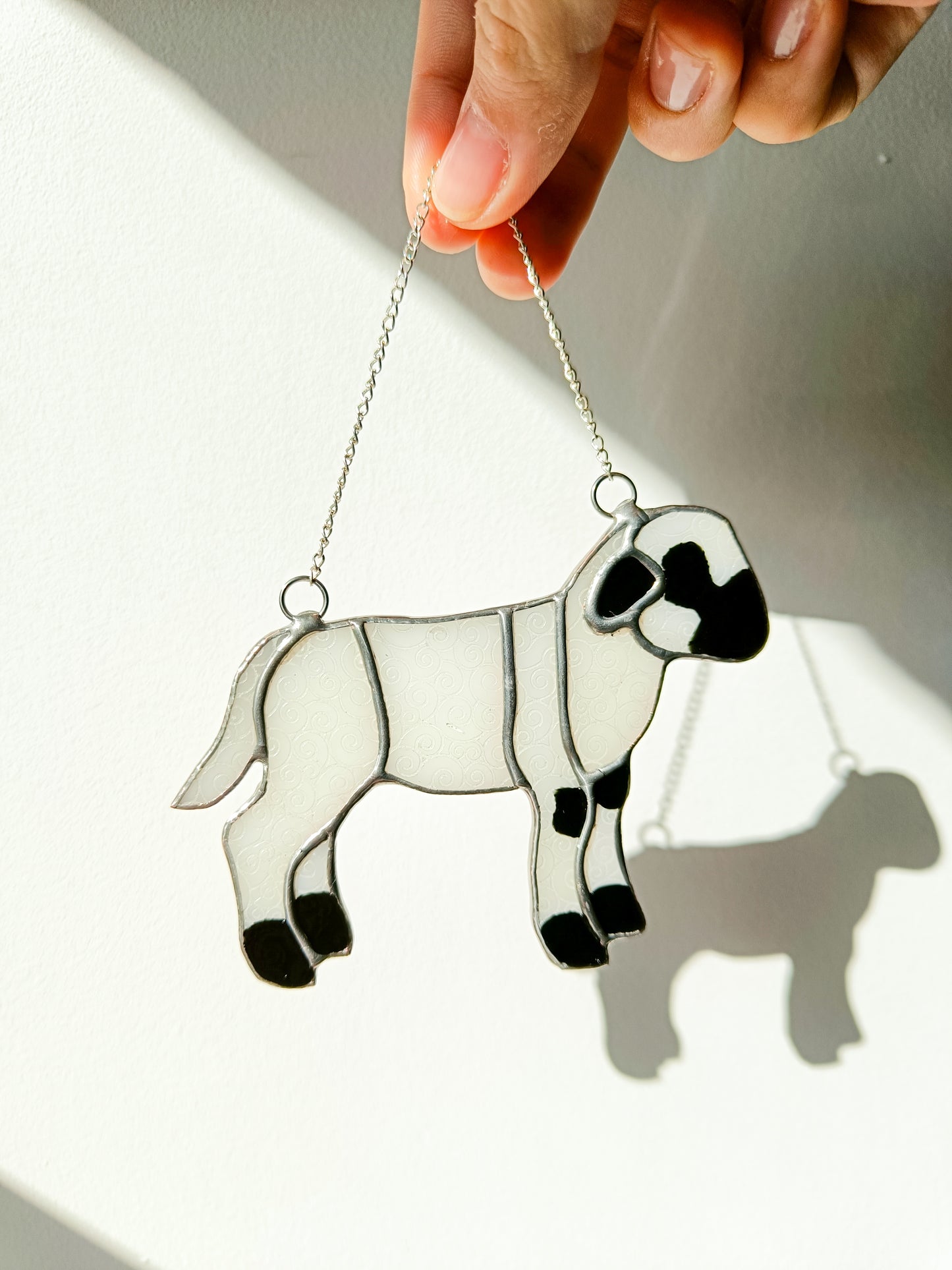 🌱MOUTON - Collection Printemps🌱