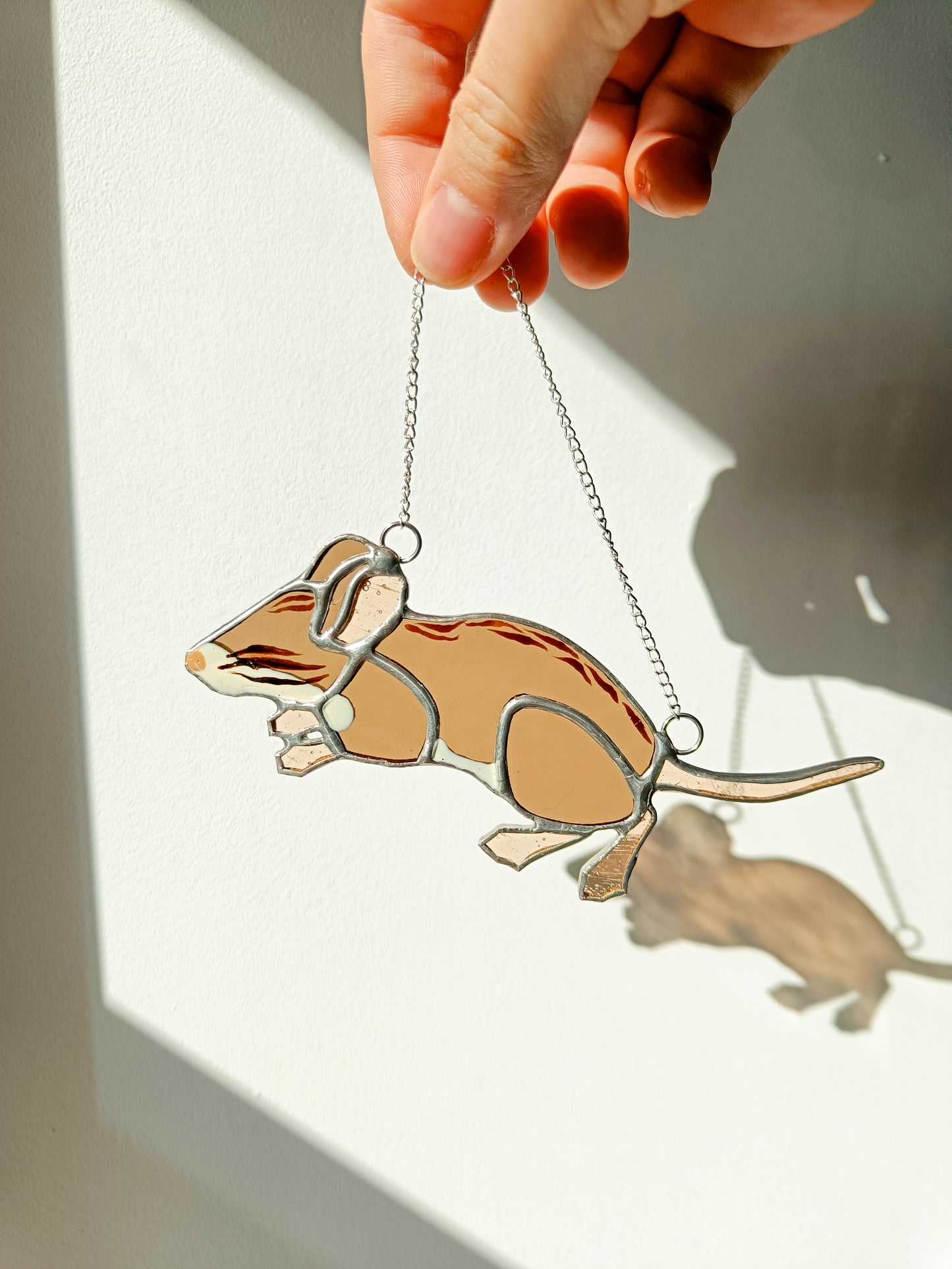 🌱SOURIS - Collection Printemps🌱