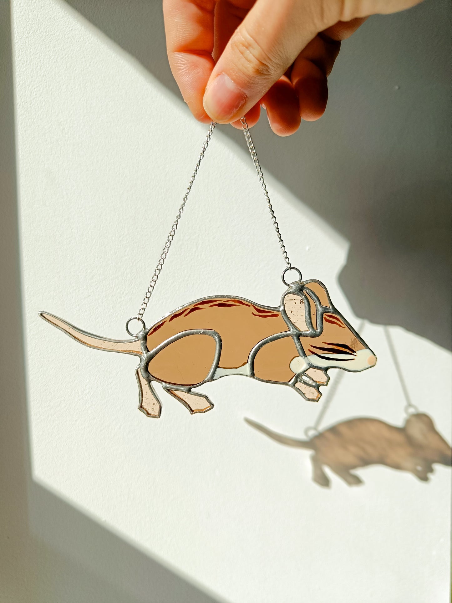 🌱SOURIS - Collection Printemps🌱