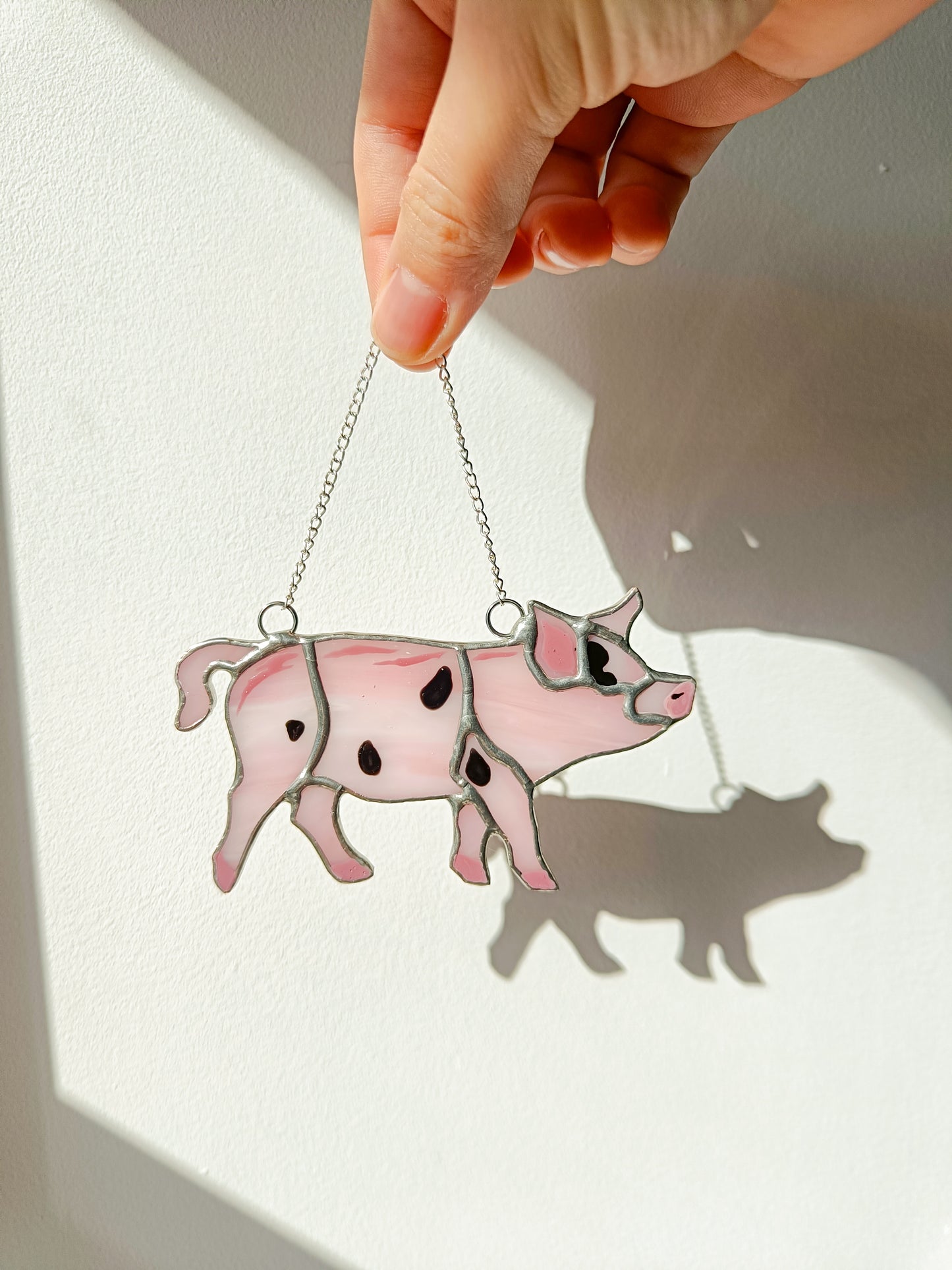 🌱COCHON - Collection Printemps🌱