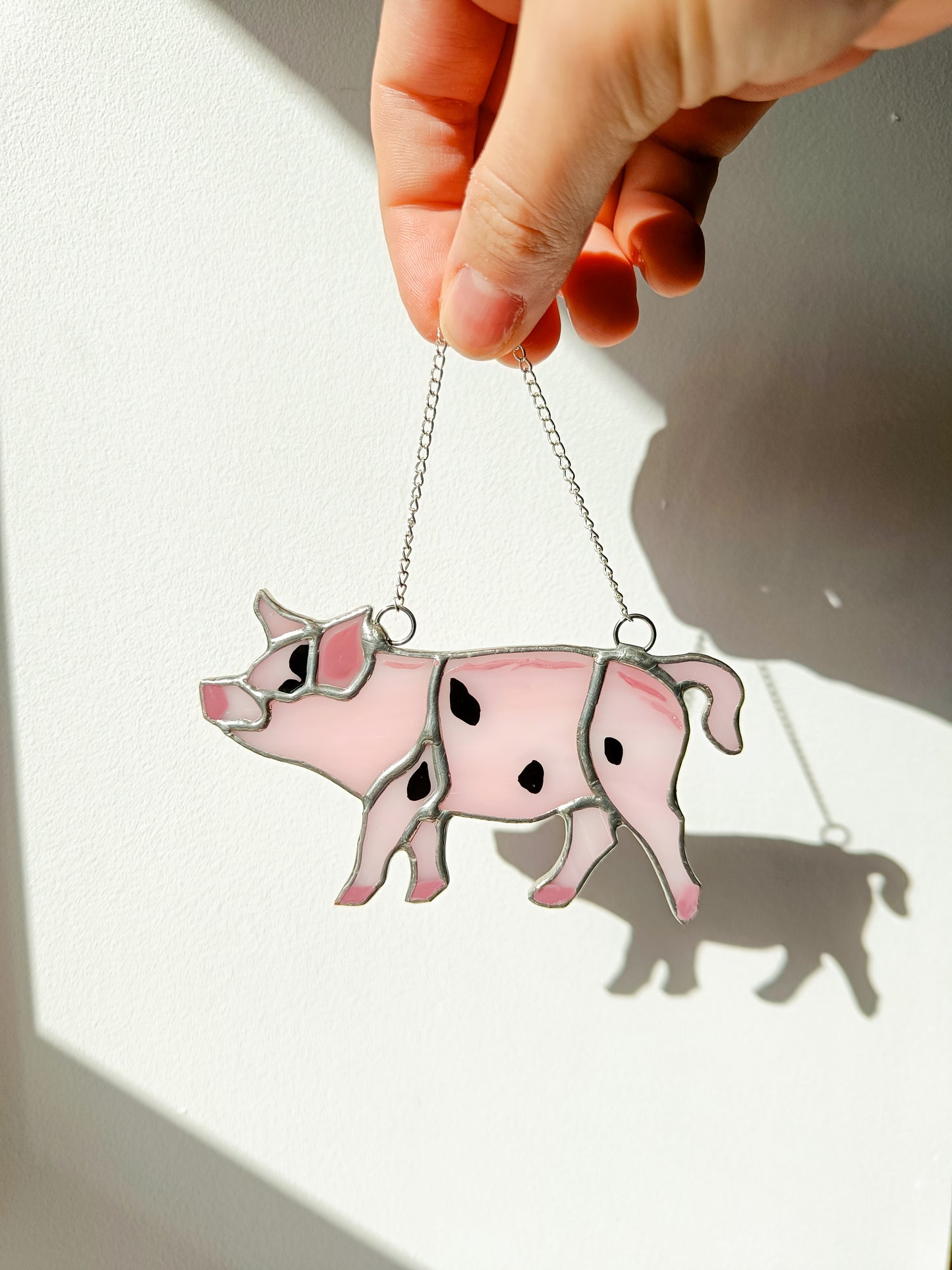 🌱COCHON - Collection Printemps🌱