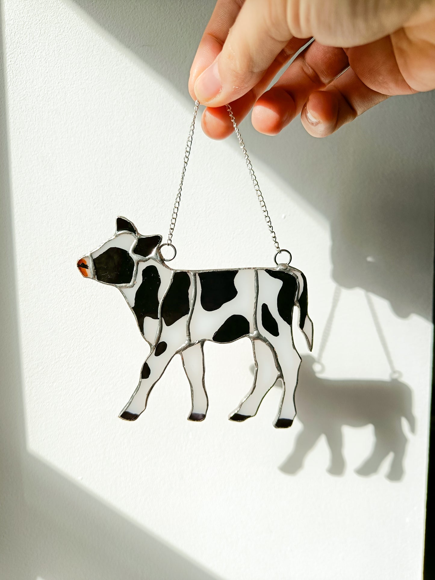 🌱VACHE - Collection Printemps🌱