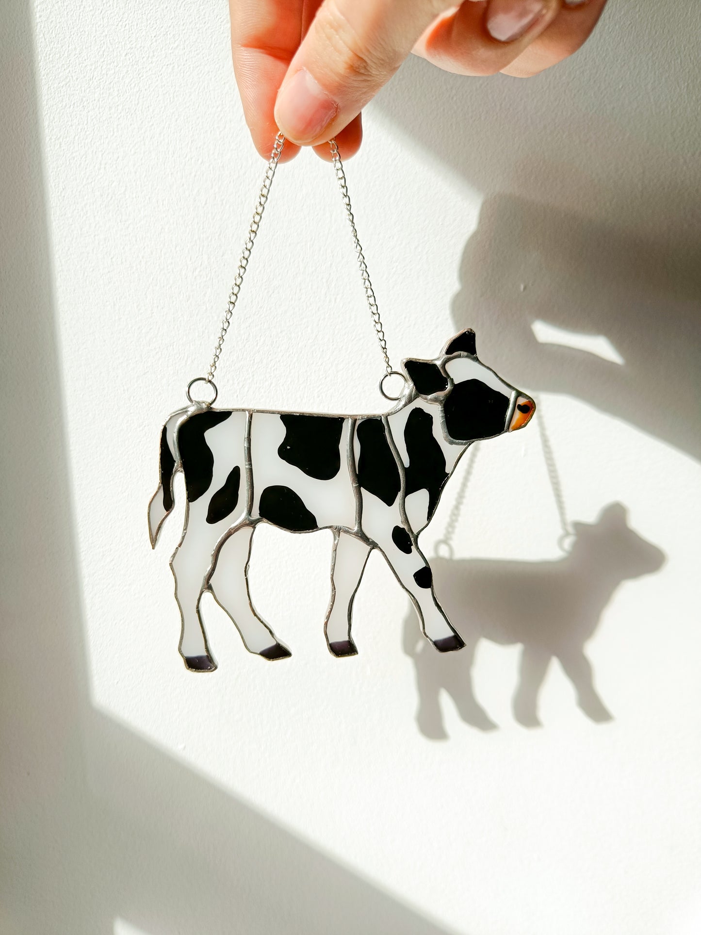 🌱VACHE - Collection Printemps🌱