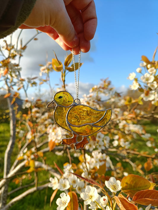 🌱CANARD - Collection Printemps🌱