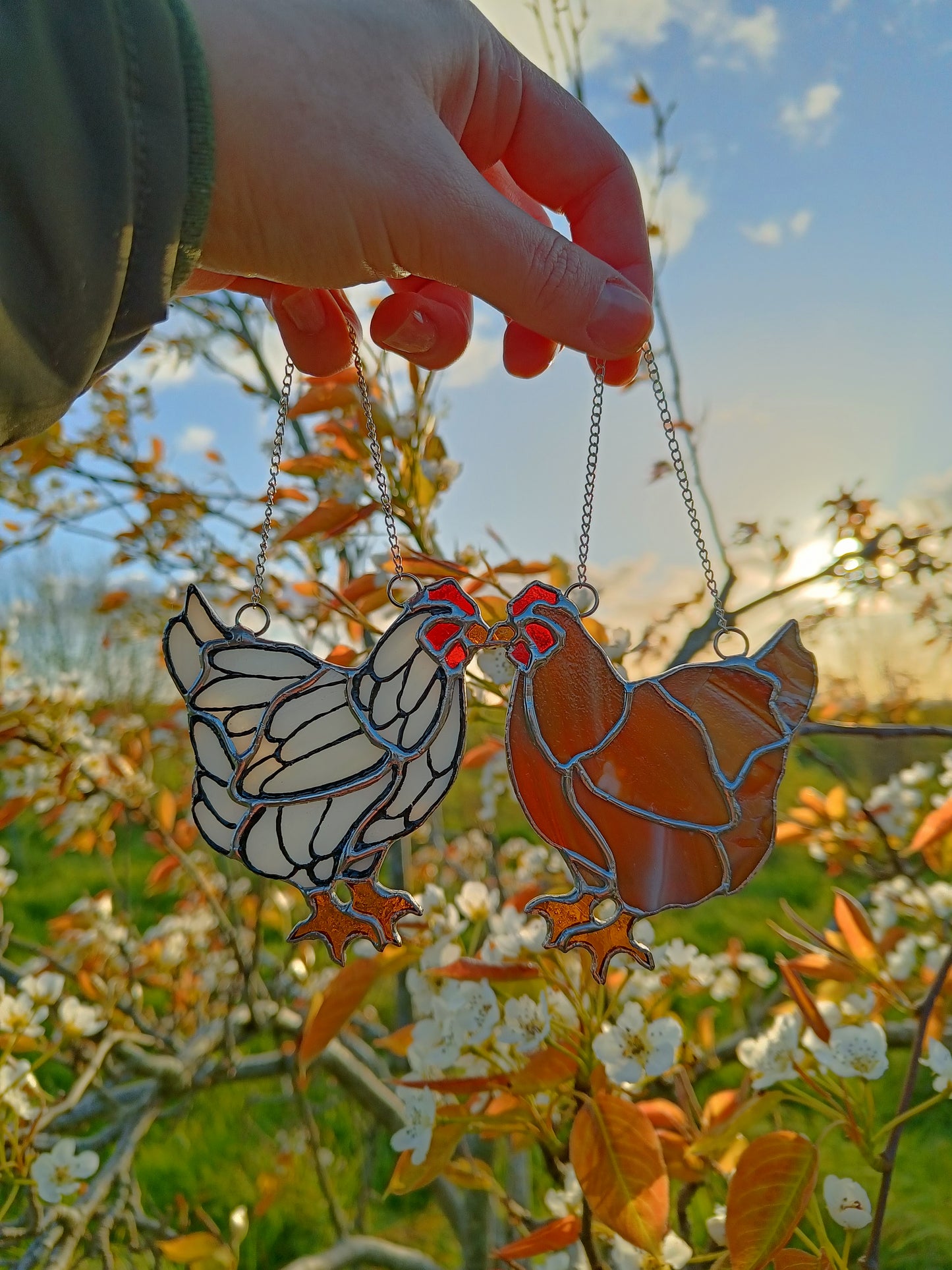 🌱POULE - Collection Printemps🌱