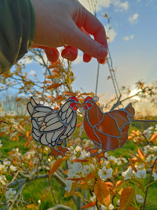 🌱POULE - Collection Printemps🌱