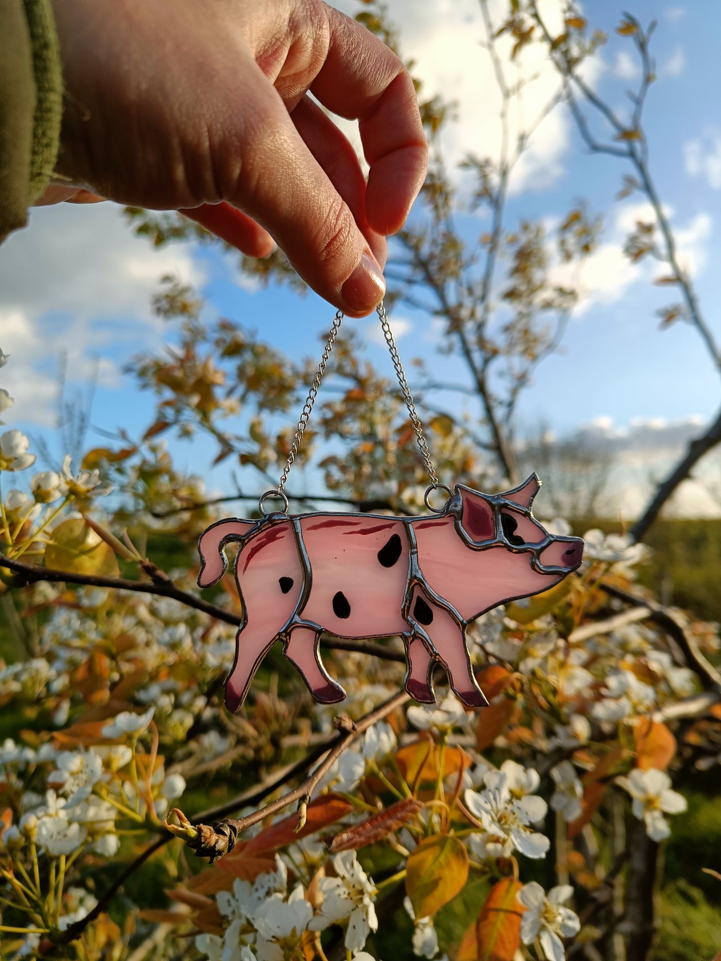🌱COCHON - Collection Printemps🌱