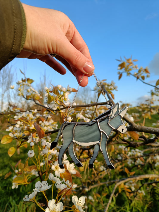 🌱ÂNE - Collection Printemps🌱