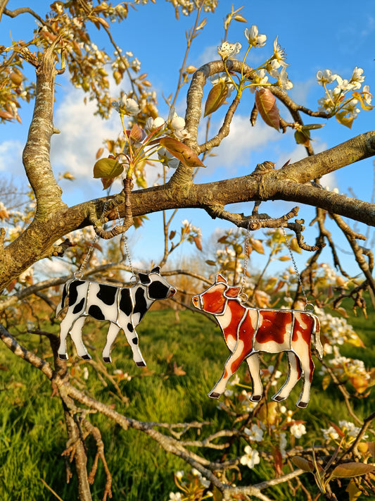 🌱VACHE - Collection Printemps🌱