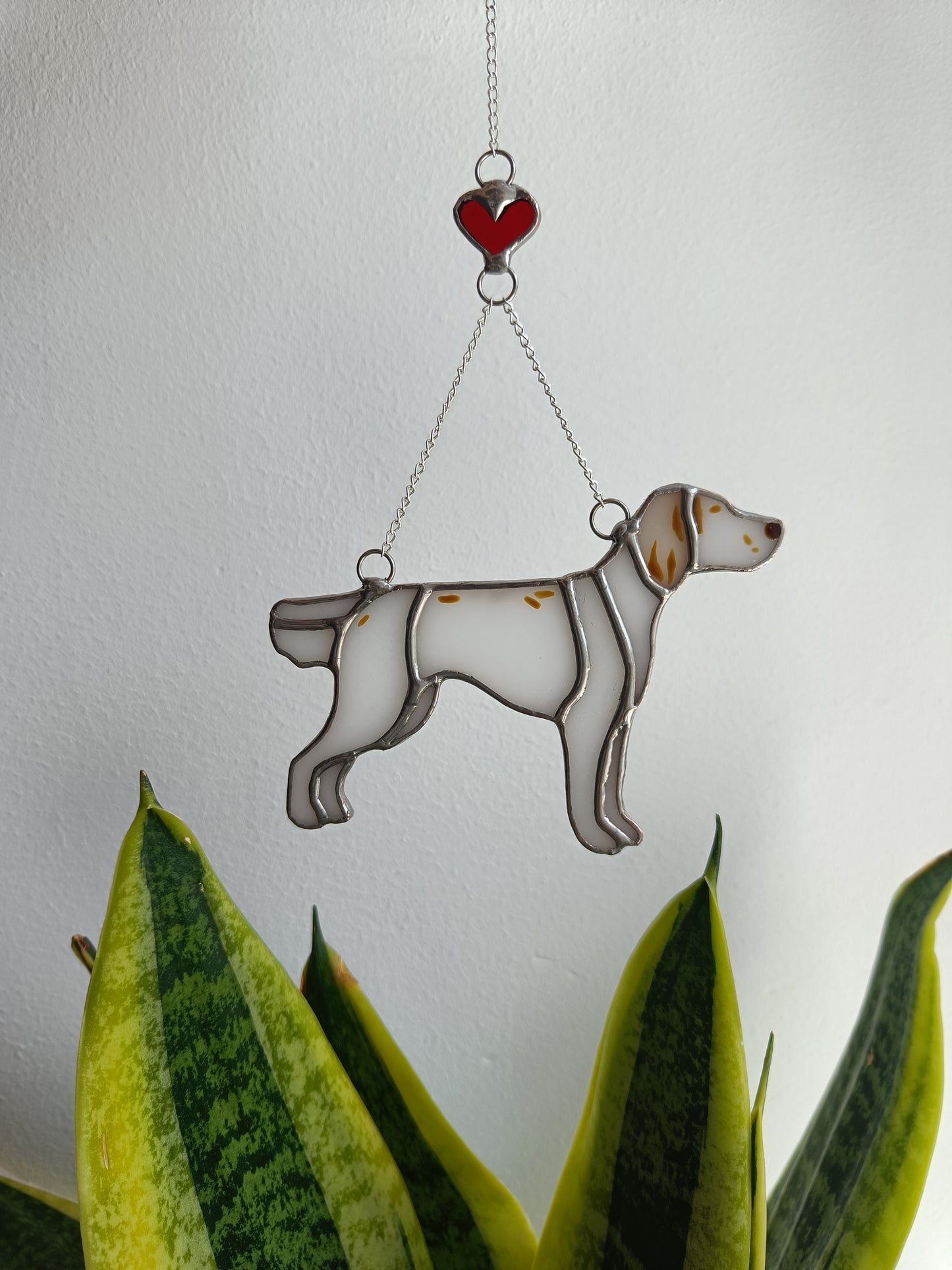Dog RESERVED for Imogen