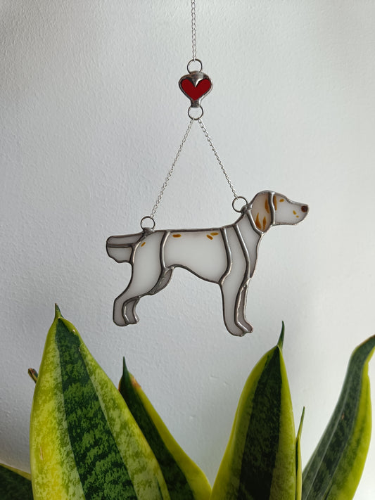 Dog RESERVED for Imogen