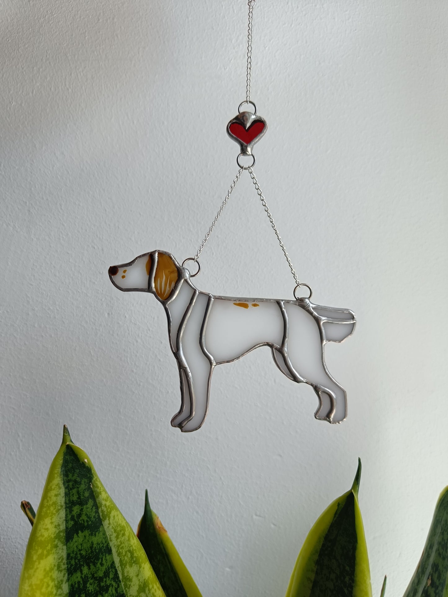 Dog RESERVED for Imogen