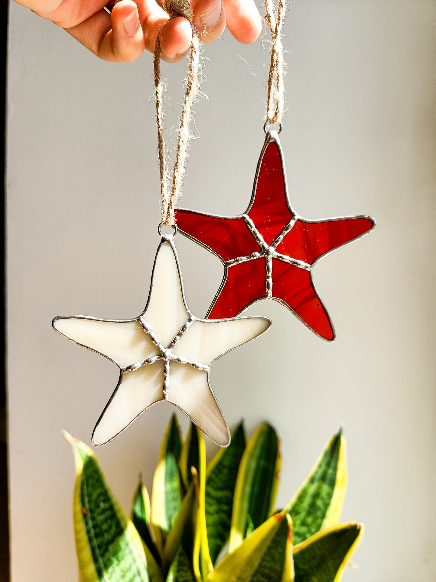 🌊STARFISH - Summer Collection🌊