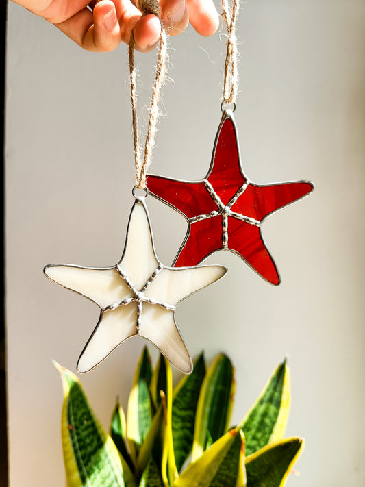 🌊STARFISH - Summer Collection🌊
