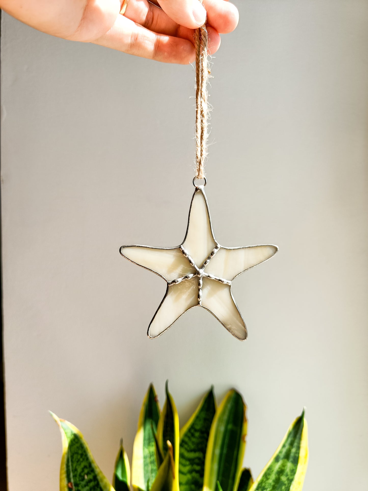 🌊STARFISH - Summer Collection🌊