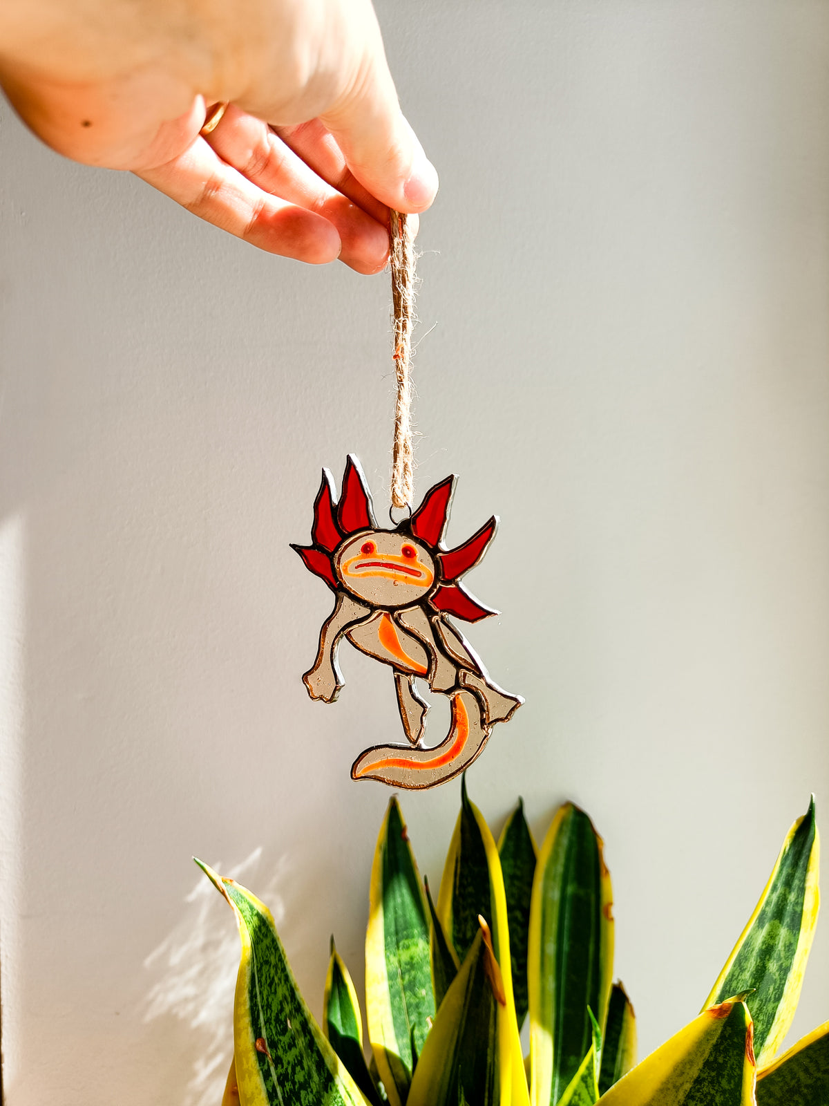 🌊AXOLOTL - Collection Été🌊