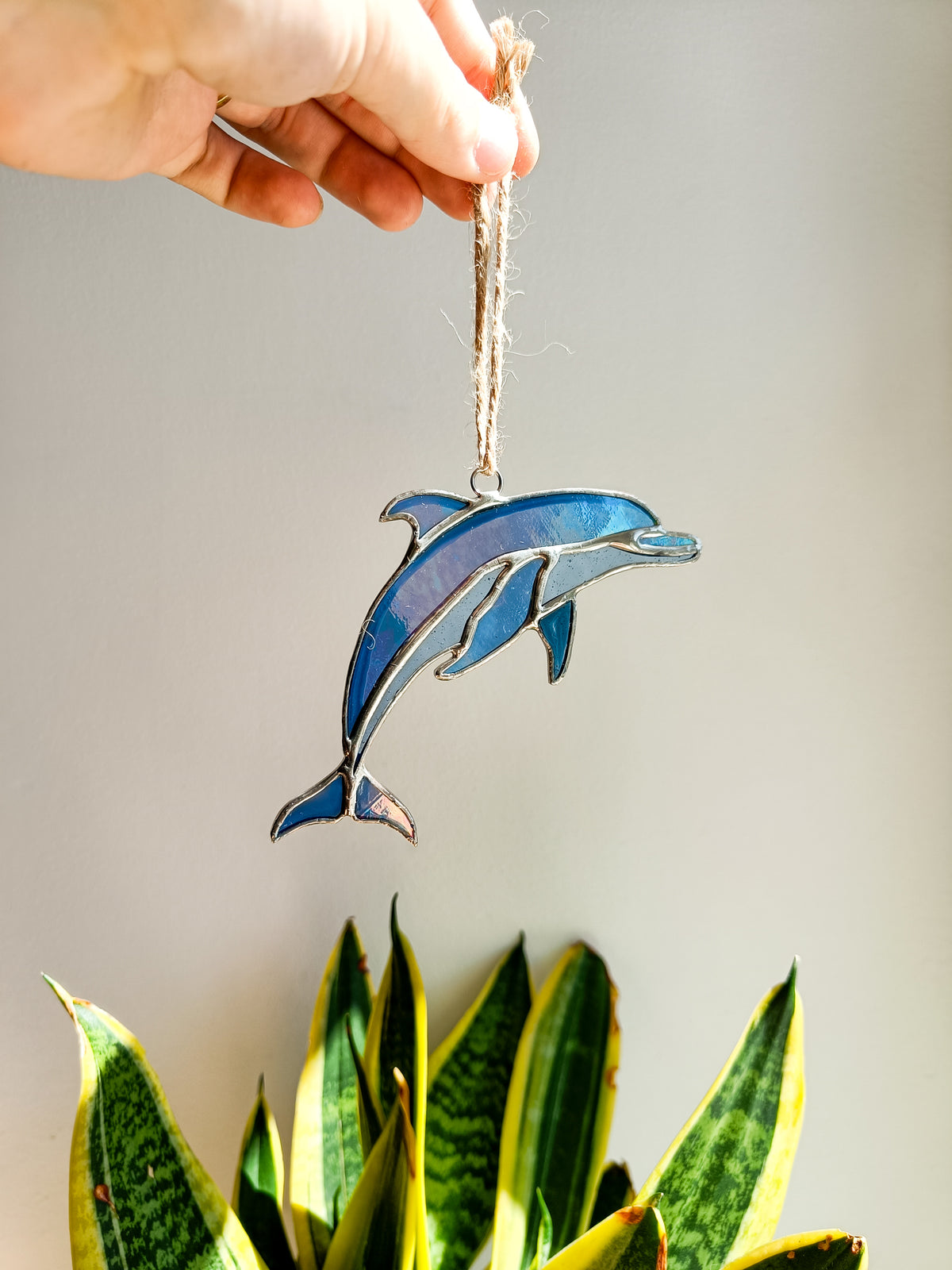 🌊DOLPHIN - Summer Collection🌊