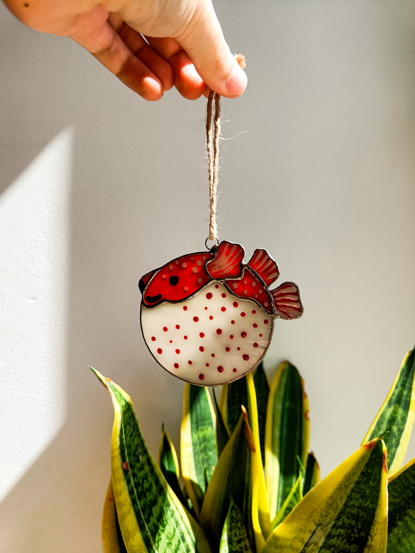 🌊POISSON-BALLON - Collection Été🌊
