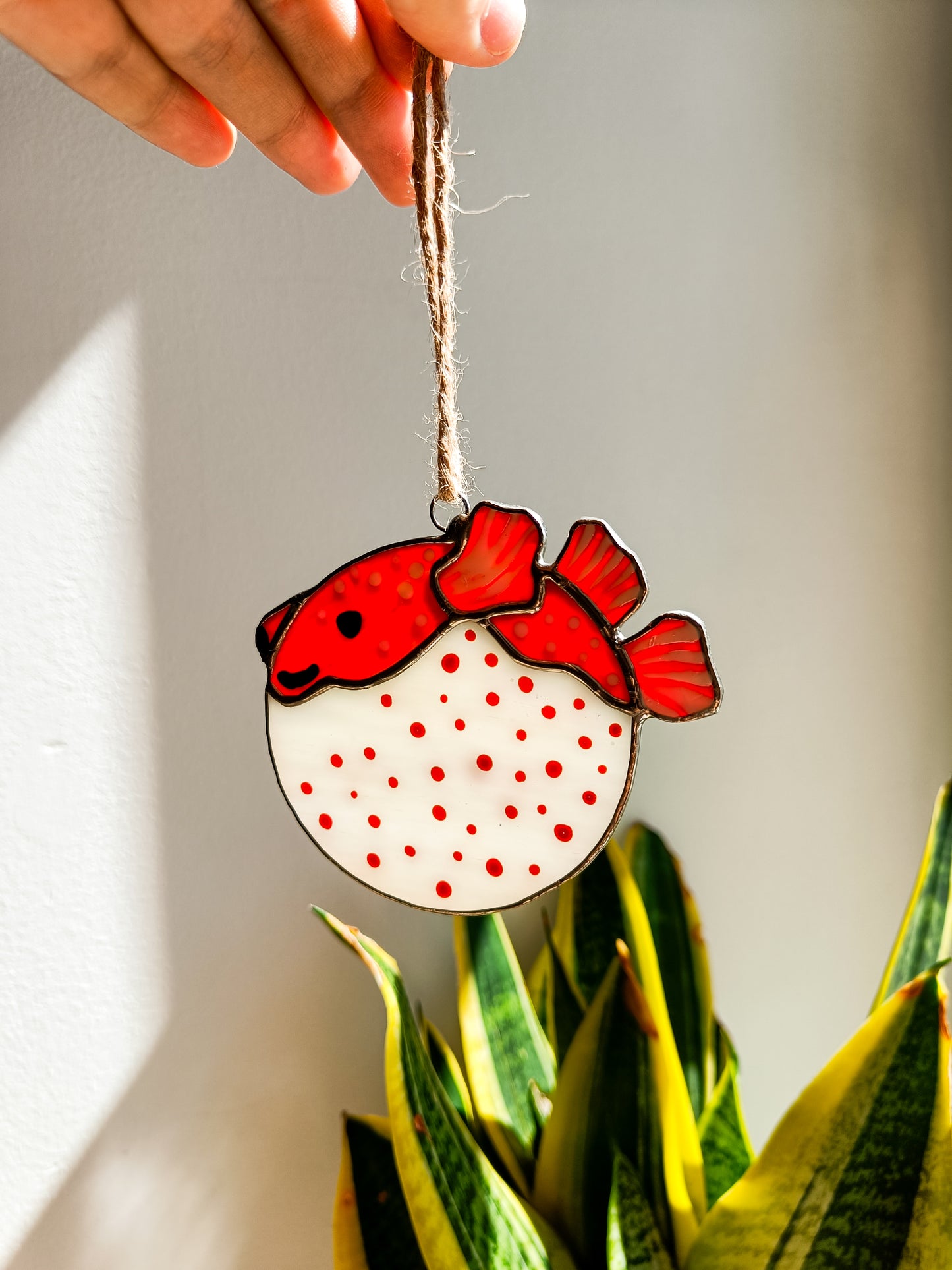 🌊POISSON-BALLON - Collection Été🌊