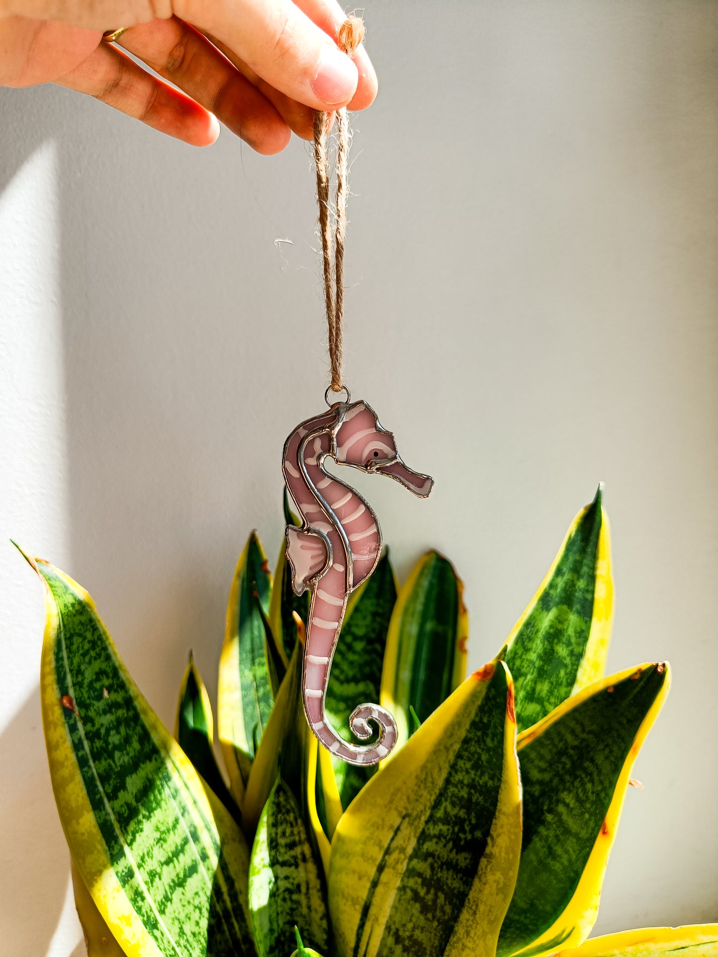 🌊SEAHORSE - Summer Collection🌊