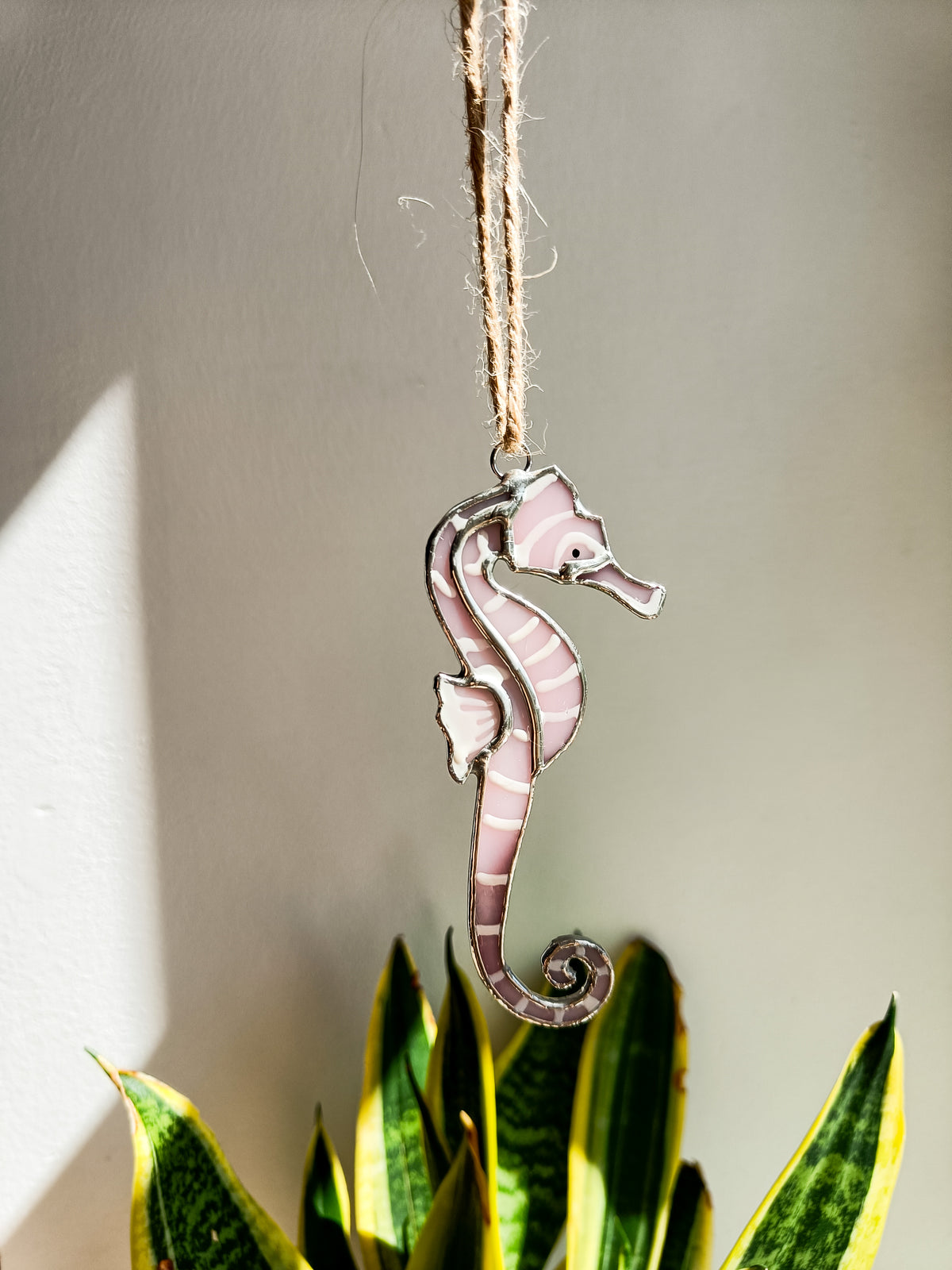 🌊SEAHORSE - Summer Collection🌊