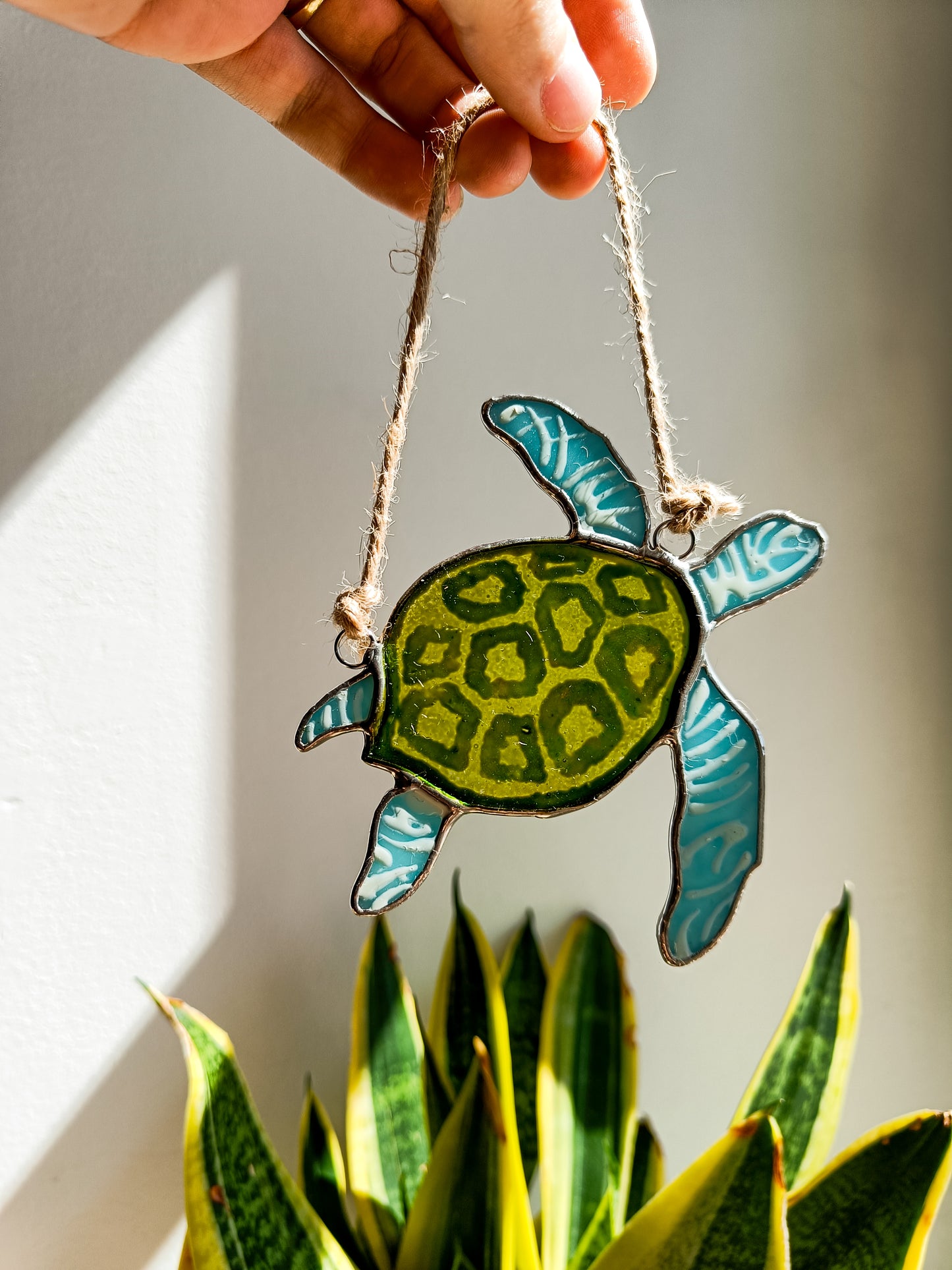 🌊TORTUE - Collection Été🌊