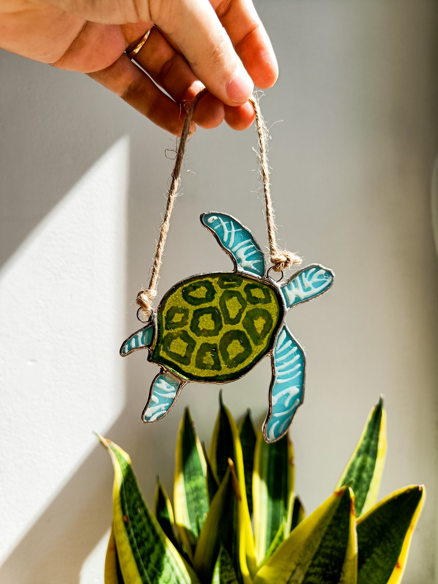 🌊TORTUE - Collection Été🌊