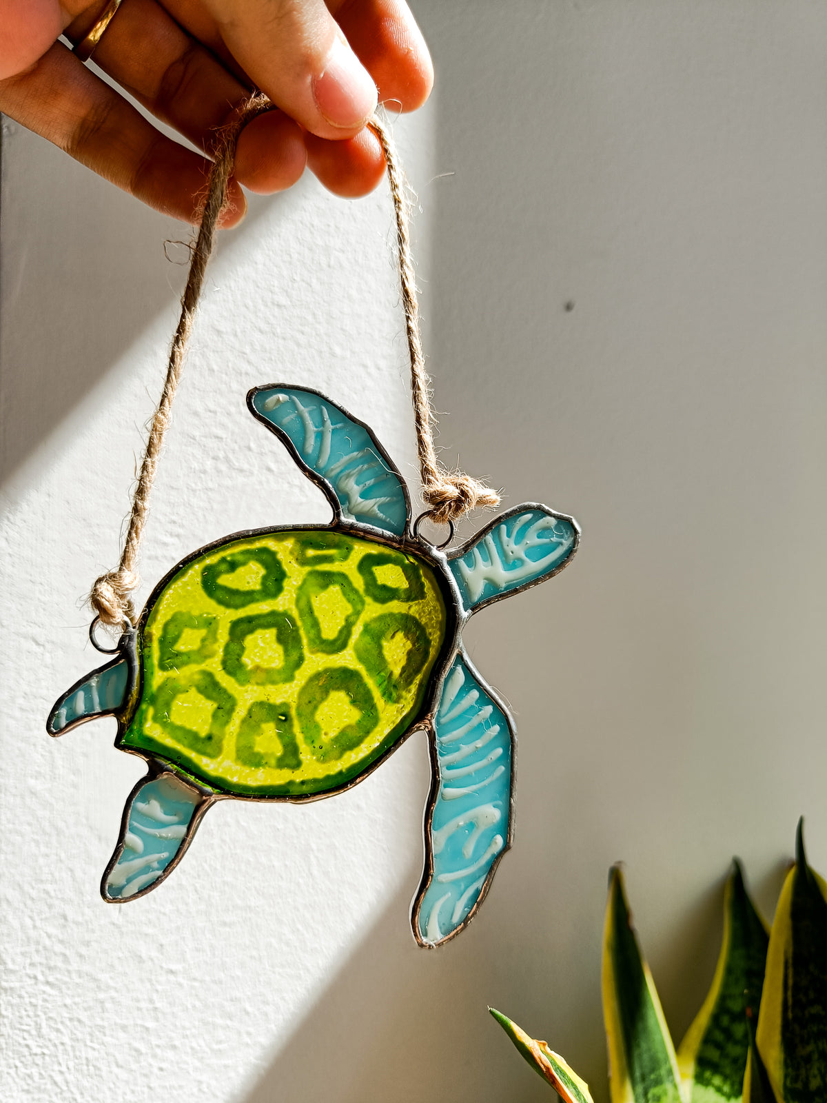 🌊TORTUE - Collection Été🌊