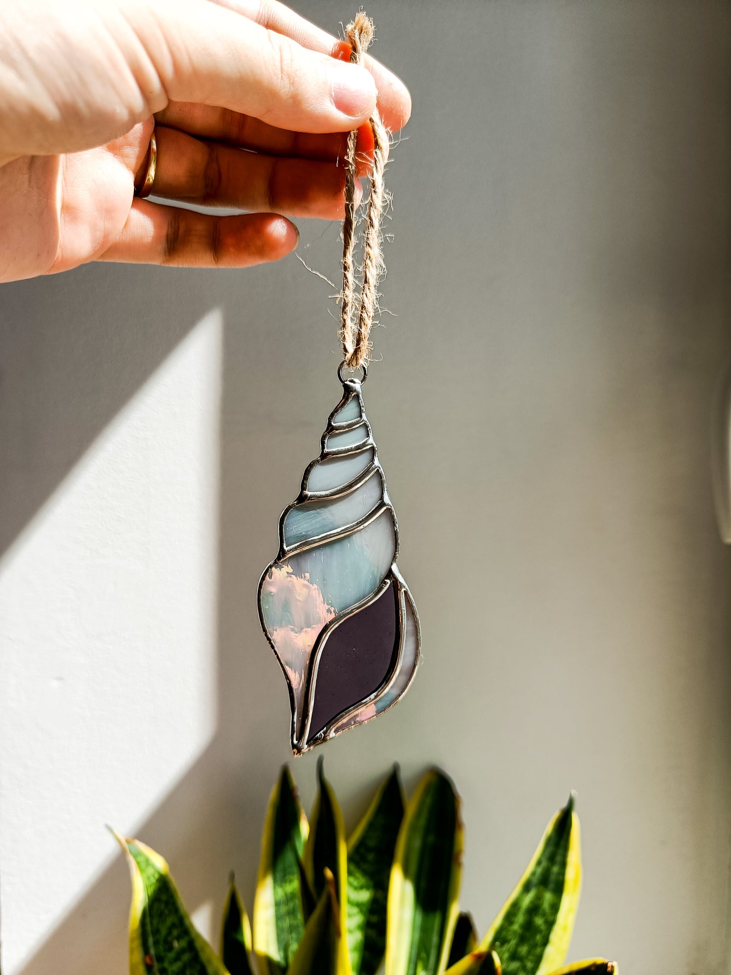 🌊COQUILLE - Collection Été🌊