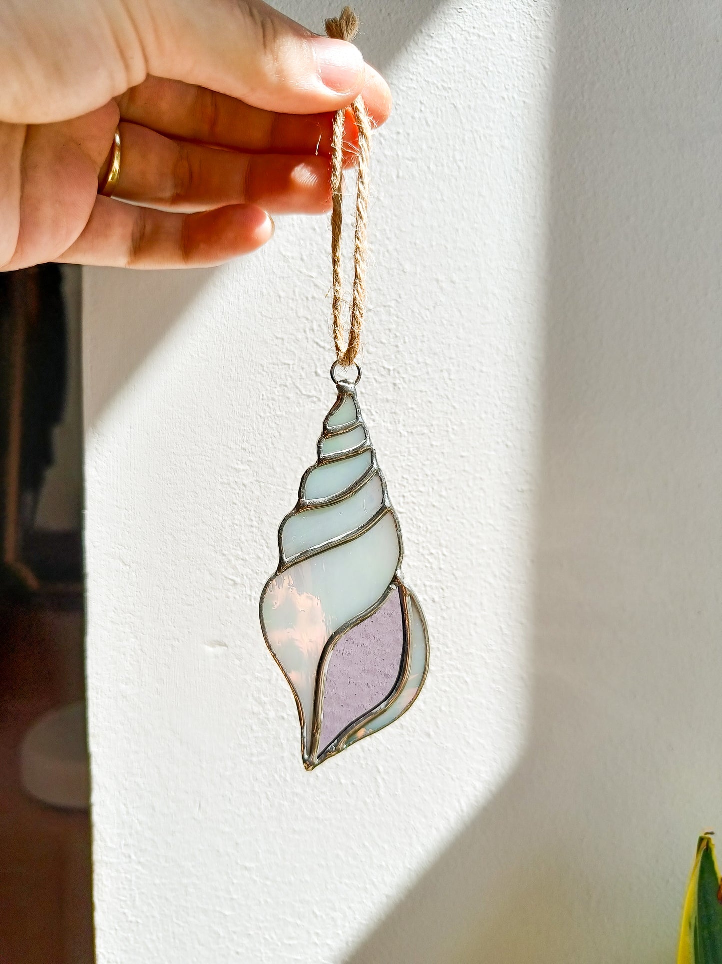 🌊COQUILLE - Collection Été🌊