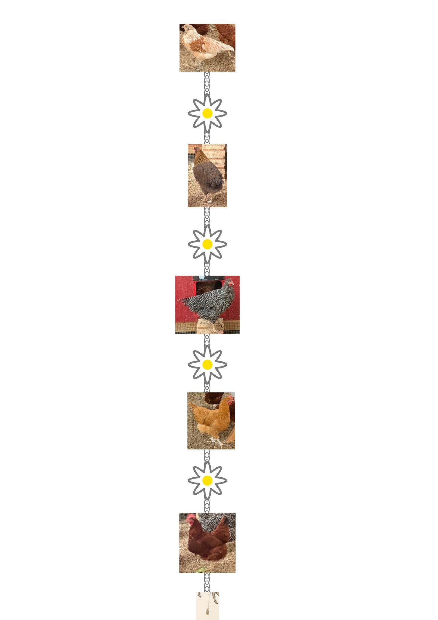 CUSTOM Chicken garland RESERVED for Michaela