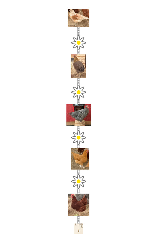 CUSTOM Chicken garland RESERVED for Michaela