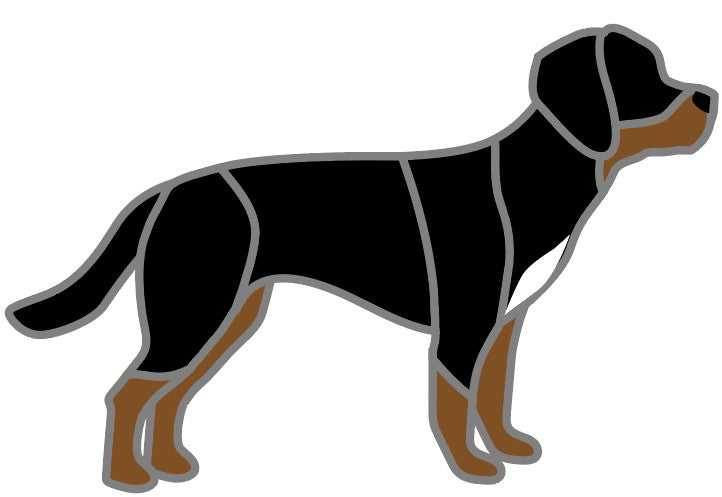 Dog RESERVED FOR OLIVIA