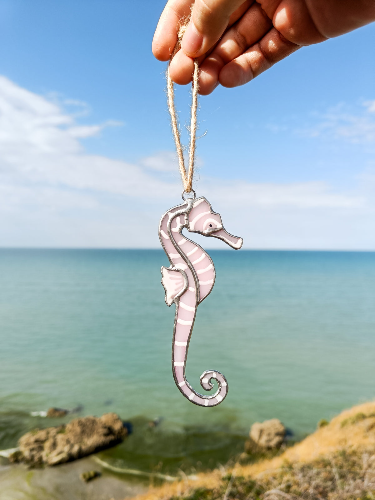 🌊SEAHORSE - Summer Collection🌊